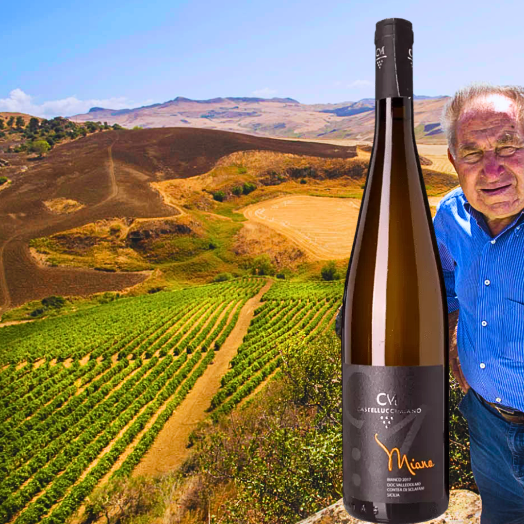 Castellucci Miano - Artisan Winery in the Madonie Mountains of