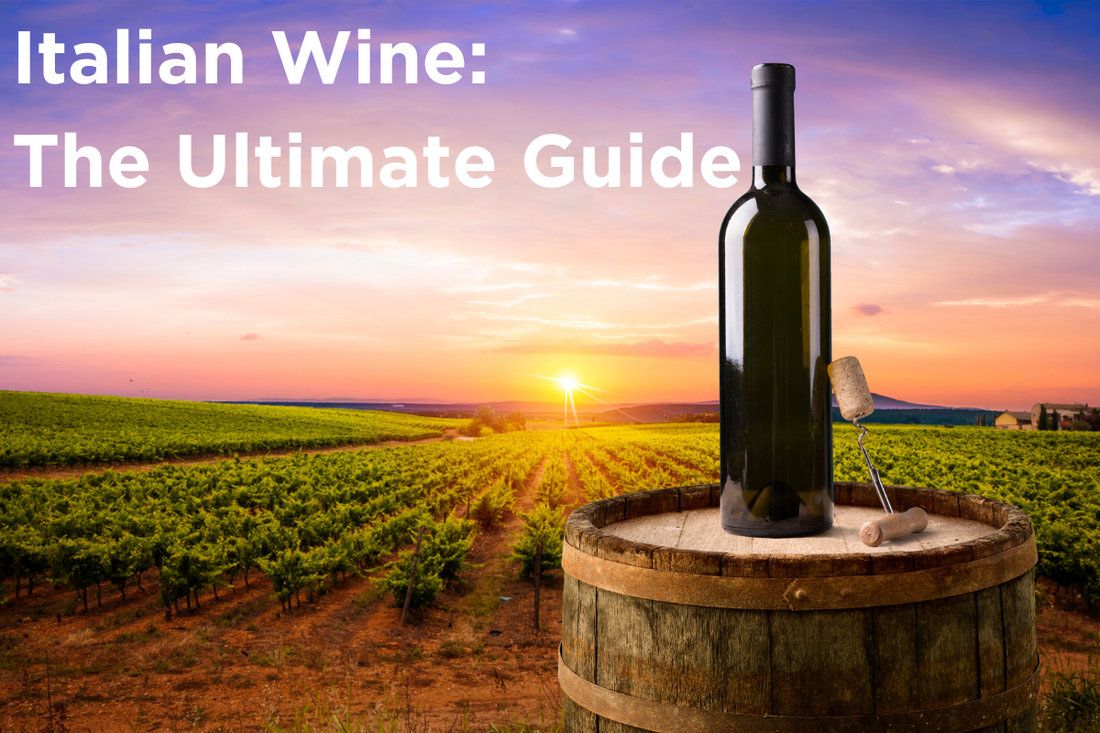 Italian Wine: The ultimate guide