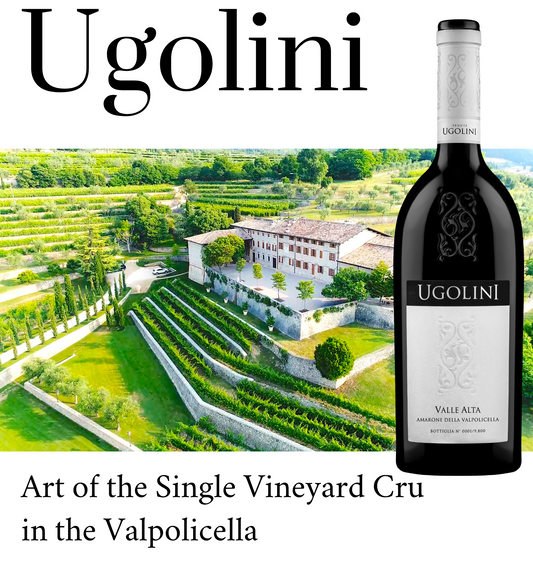 How Ugolini Transformed Amarone: From Heavy and Raisiny to Elegant and Balanced